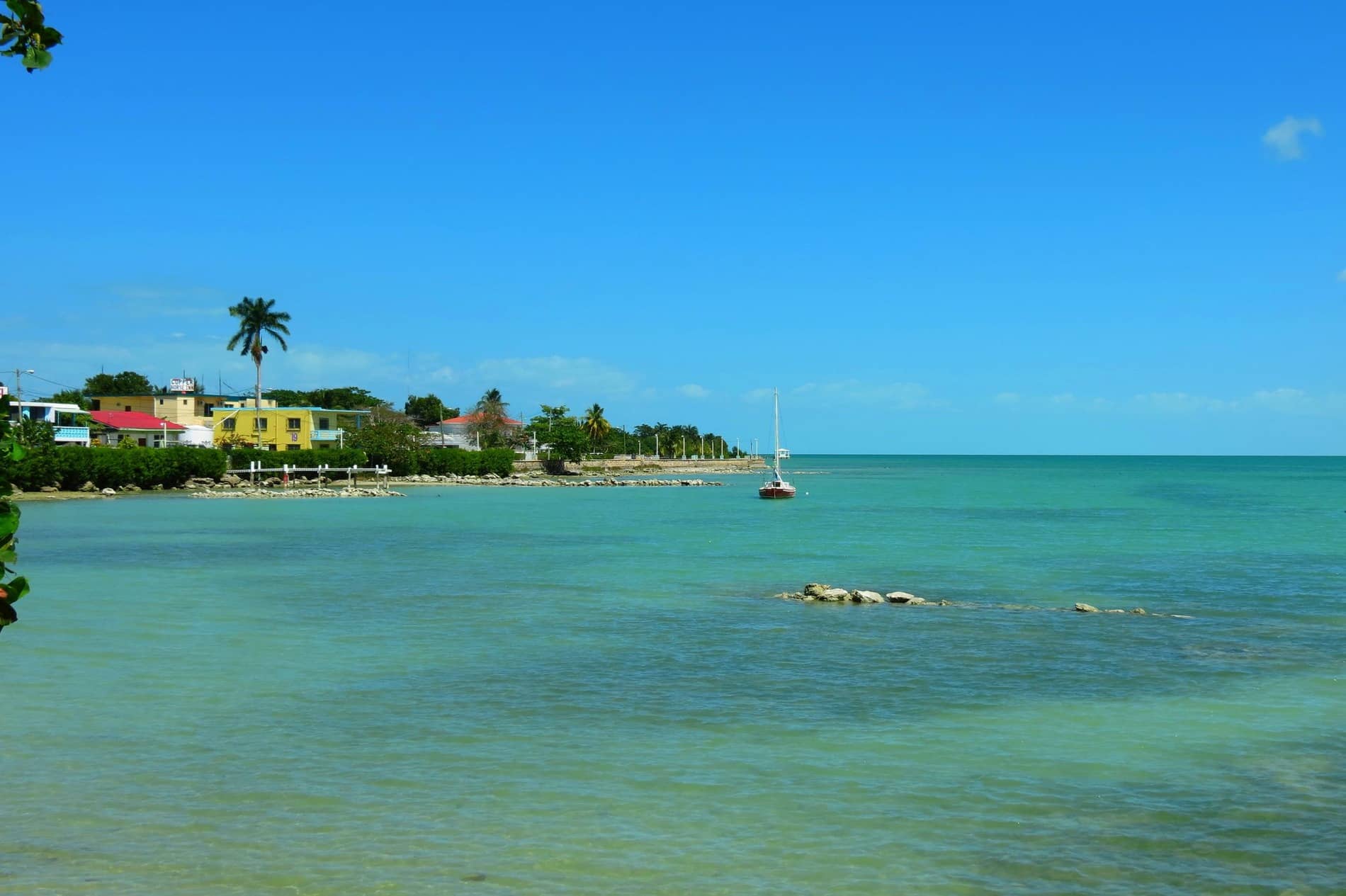 Lush green landscape of the Cayo District in Belize