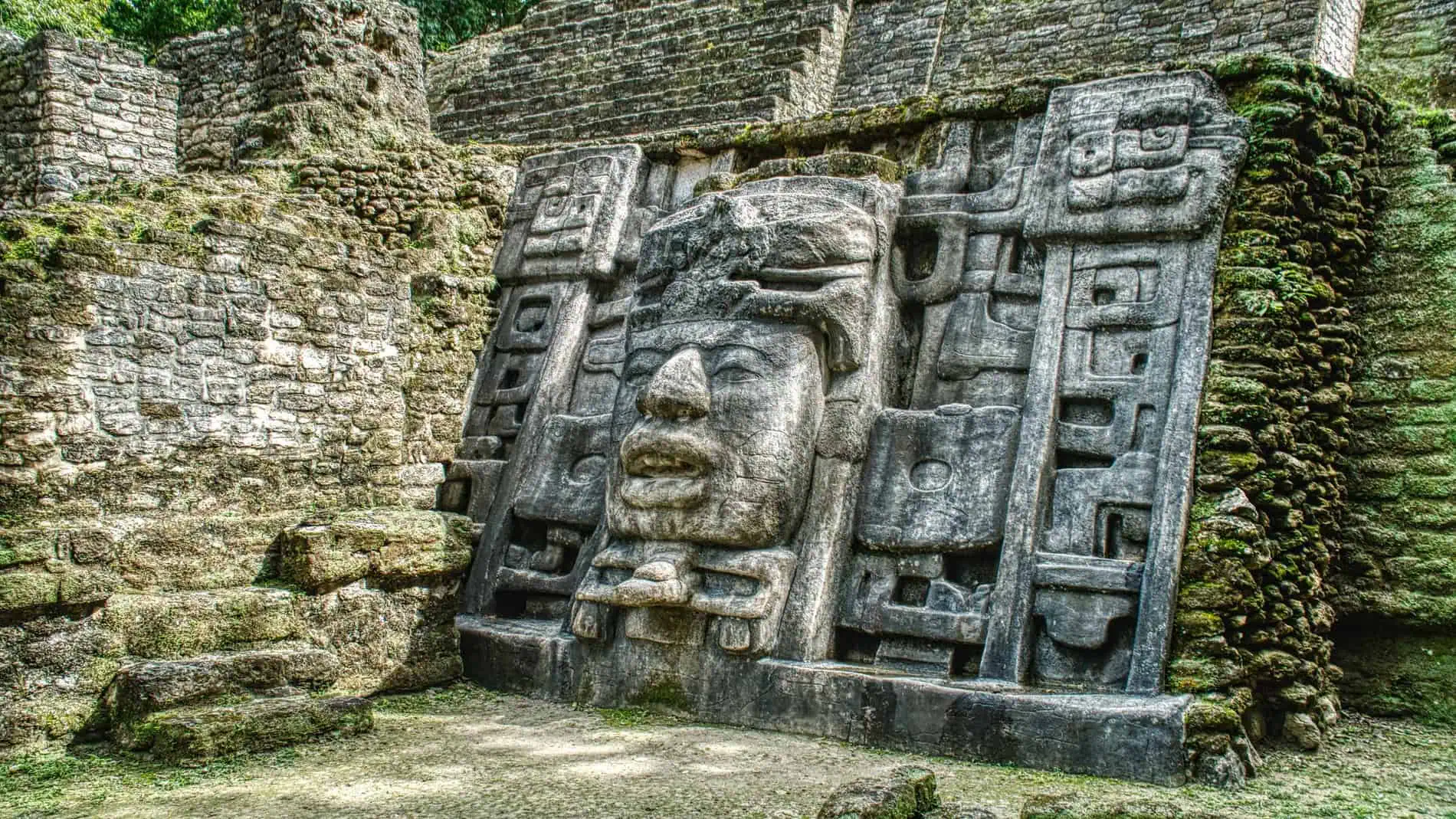 Lush green landscape of the Cayo District in Belize