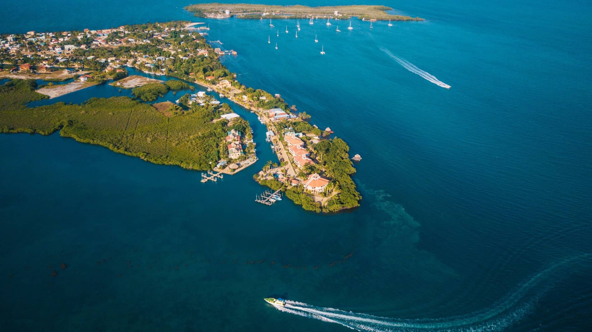 Lush green landscape of the Cayo District in Belize