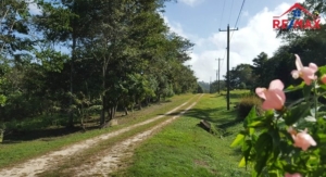 Featured image of property # 4011 – BELIZE RESIDENTIAL 1/2 ACRE LOT – SAN IGNACIO, CAYO DISTRICT