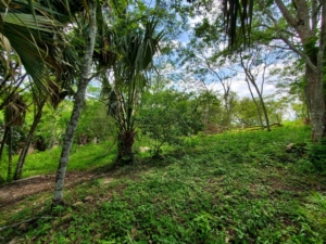 Featured image of property # 4087 – Hilltop Property 2.98 Acres of Land – Succotz Village, Cayo District, Belize