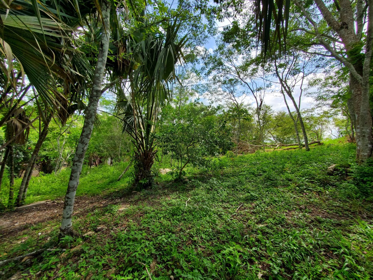 Featured image # 4087 – Hilltop Property 2.98 Acres of Land – Succotz Village, Cayo District, Belize
