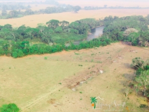 Featured image of property #4213 – 151 ACRES OF LAND + 500′ BELIZE RIVER FRONTAGE near Spanish Lookout, Cayo District, Belize