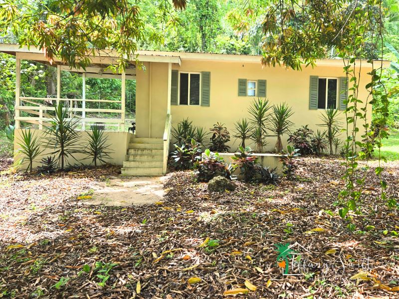 Featured image #4226 – Cozy Country Living, Five Buildings on 3/4 Acre of Land Just 15 Minutes from Belmopan, Cayo District, Belize