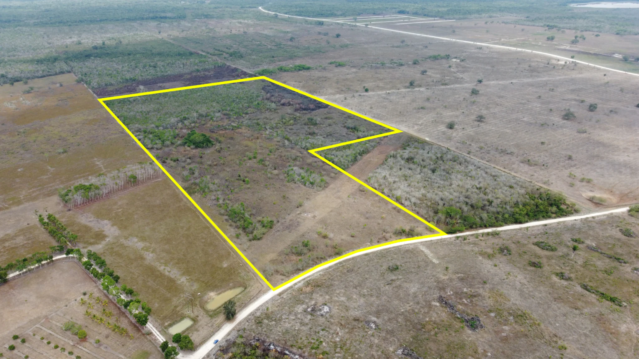 Aerial view of 50 acres of farmland in Orange Walk, Belize, showing fields, trees, and a road. Belize REMAX Property Center