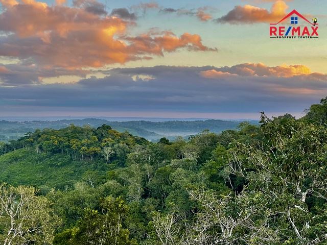 Featured image #2506 – LARGE RESIDENTIAL LOTS IN A RAINFOREST COMMUNITY