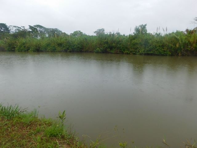 Featured image of property #2510 – 70 ACRES + RIVER – STANN CREEK DISTRICT, BELIZE.