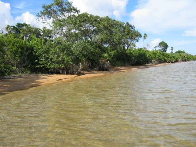 Featured image #2511 – 100 ACRES OF BEACHFRONT AND LAGOON FRONT LAND – STANN CREEK DISTRICT