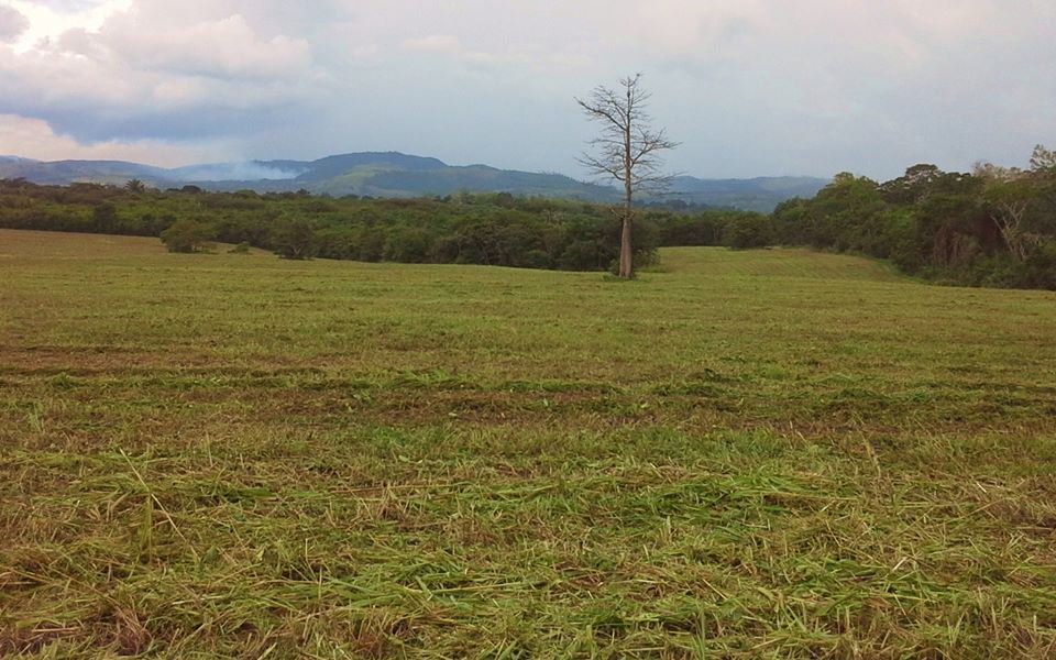 Featured image #2515 – ONE ACRE RESIDENTIAL LOTS – SAN IGNACIO, CAYO DISTRICT