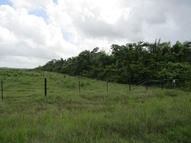 Featured image #2518 – 117 ACRES OF RIVERSIDE LAND LOCATED CLOSE TO THE CAPITAL CITY OF BELMOPAN.