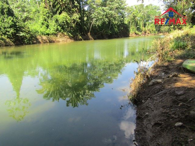 Featured image #2521 – EIGHT PARCELS OF VACANT RAINFOREST LAND NEAR BELMOPAN, BELIZE.