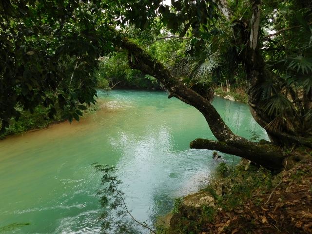 Featured image #2527 – 100 ACRES OF RIVERSIDE LAND CLOSE TO BELMOPAN, CAYO DISTRICT.