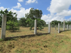 Featured image of property #2537 – 2 ADJACENT RESIDENTIAL OR COMMERCIAL LOTS IN SAN IGNACIO.