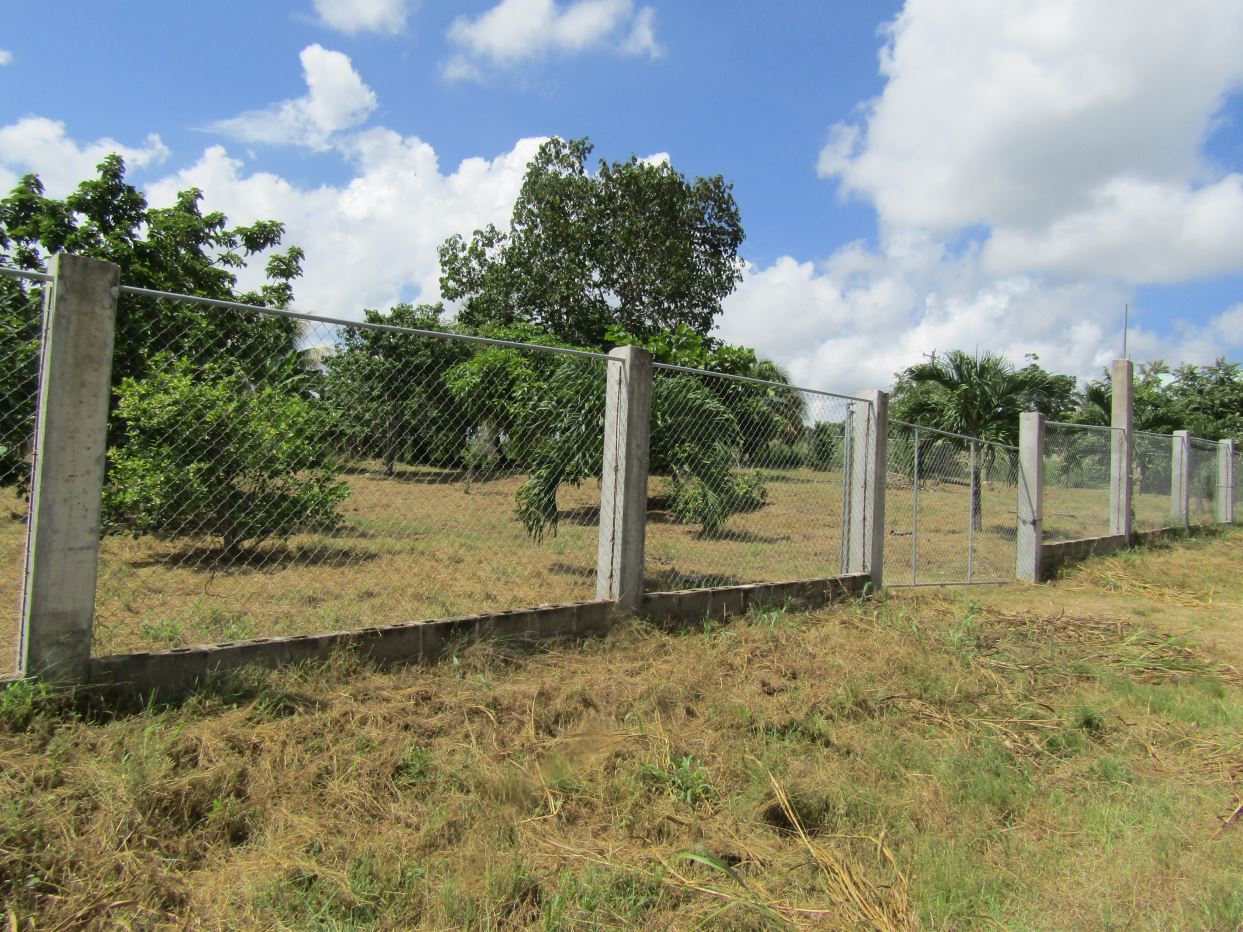 Featured image #2537 – 2 ADJACENT RESIDENTIAL OR COMMERCIAL LOTS IN SAN IGNACIO.