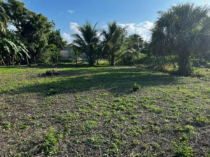 Featured image of property Affordable Lot in Corozal Town