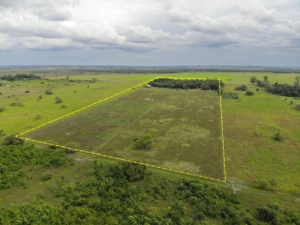 Featured image of property PARADISE RANCH NEAR SAN FELIPE, ORANGE WALK