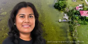 You Should Work with a Buyer's Agent featured image featuring lagoon side property