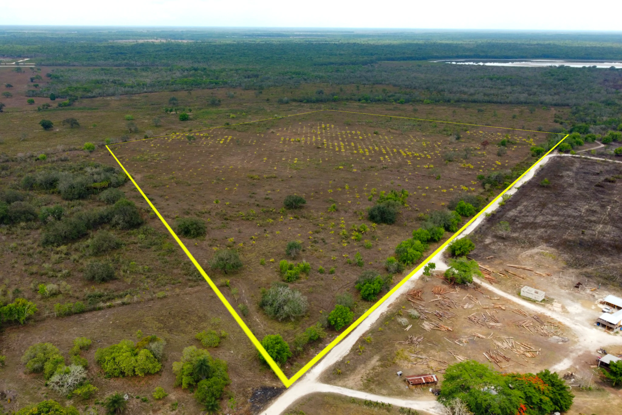 46.5 acres of fully cleared farmland in Orange Walk, Belize, highlighted in yellow, showcasing its vast size and agricultural potential. Belize REMAX Property Center