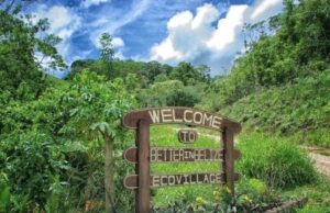 Featured image of #6007-LOT 33 — BUILD YOUR JUNGLE DREAM IN BELIZE