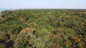 Featured image of property PRIME DEVELOPMENT OPPORTUNITY: 14.92 Acres at the Gateway to Sarteneja
