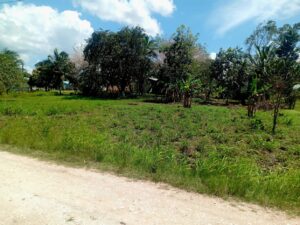 Featured image of property Residential lot in the peaceful village of Esperanza. Just 10 mins from San Ignacio.