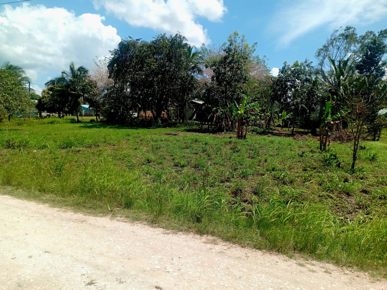 Featured image Residential lot in the peaceful village of Esperanza. Just 10 mins from San Ignacio.